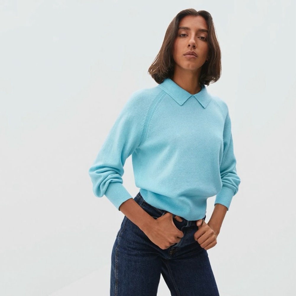 Everlane Cashmere Collared Sweater